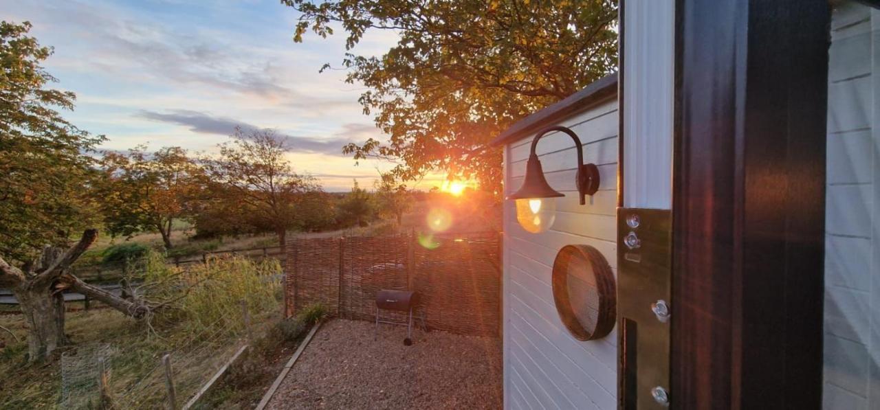 The Cosy Hut Villa Faversham Eksteriør billede